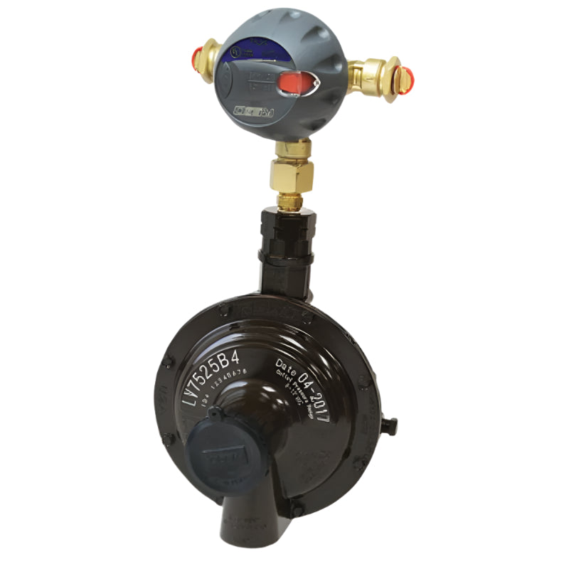 7525B4 TWIN STAGE AUTO CHANGEOVER REGULATOR 10KG/HR REGO USA