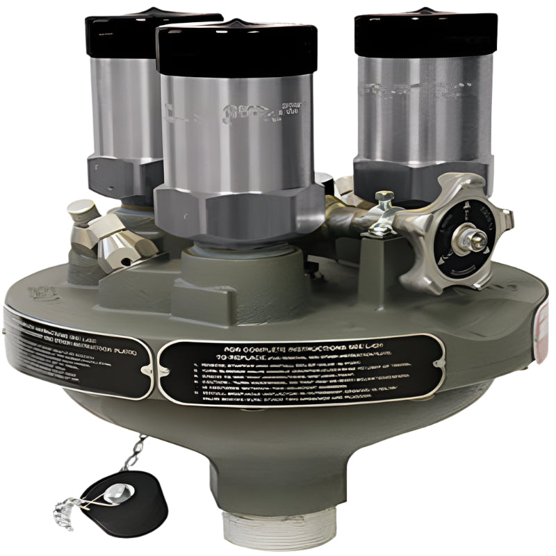 DELTA PORT SAFETY RELIEF VALVE MANIFOLD 250PSIG 2" M-NPTF REGO 8533AG