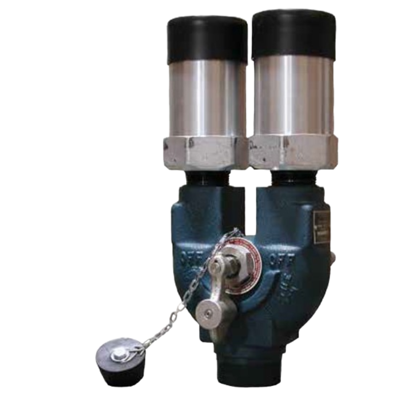 DUOPORT 2'' M.NPT TWO VALVES MOUNTED 250PSI 8542G