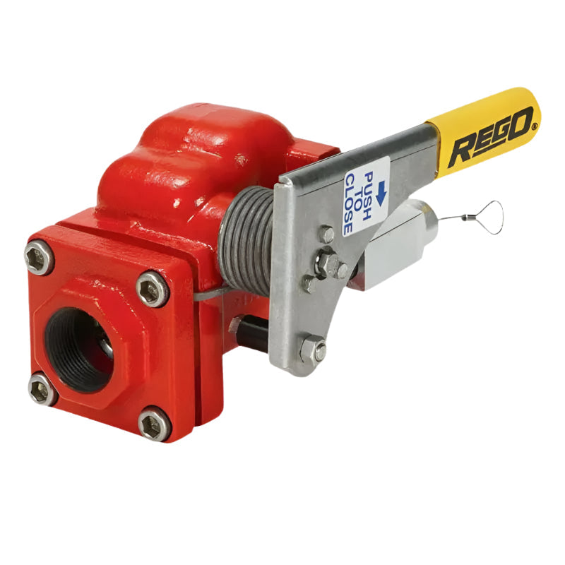 A6016 SWING CHECK ESV FOR BULK PLANT STEEL (2" F.NPT X 2" F.NPT) REGO USA