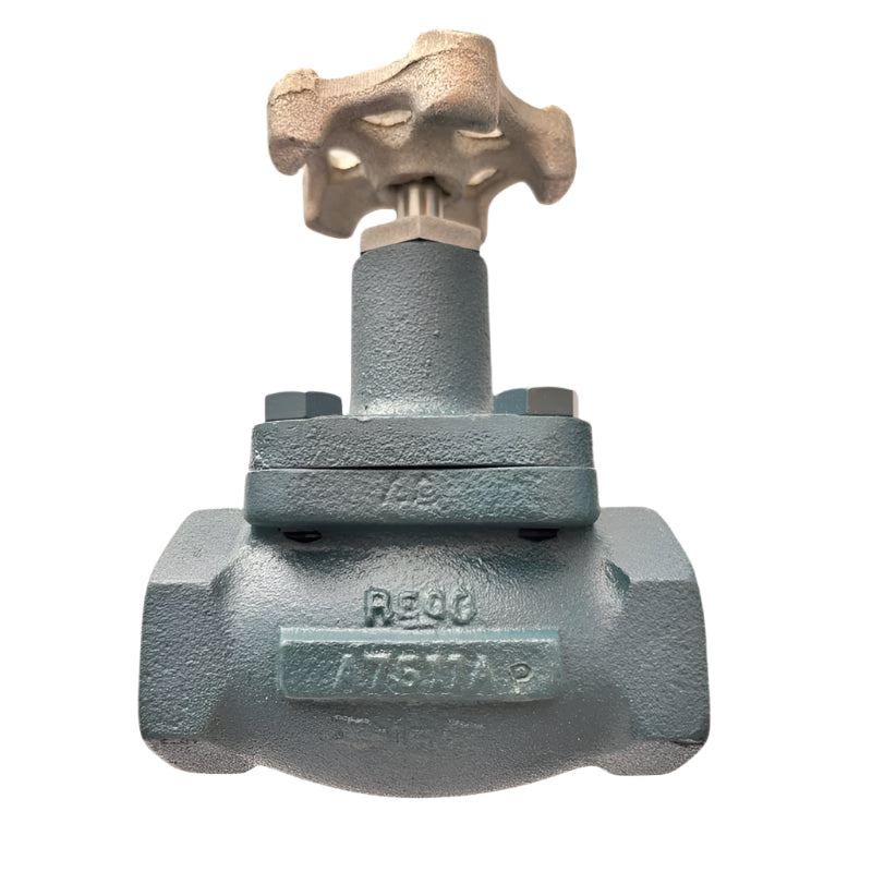 A7513AP GLOBE VALVE 2" FNPT REGO USA