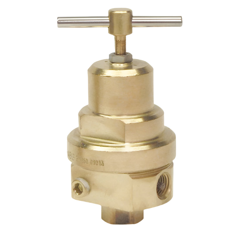 RG022A PRESSURE REGULATOR CRYOGENIC (0-30PSIG) 1/4" F.NPT REGO USA