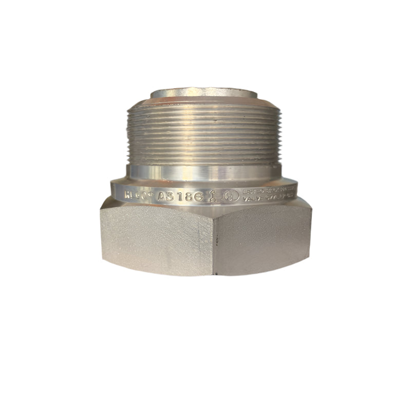 BACK CHECK VALVE REGO A3186 (2")
